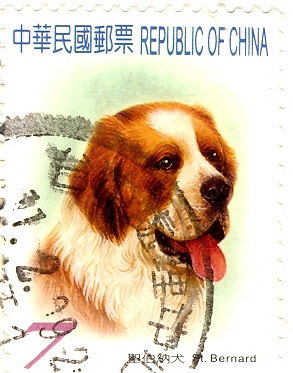Saint Bernard Animal Stamps