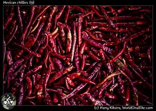 Mexican chillies (9)
