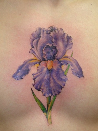 iris tattoo on the ol 39 sternum ow ow ow