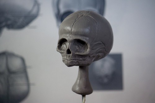 Fetal Skull Sculpt
