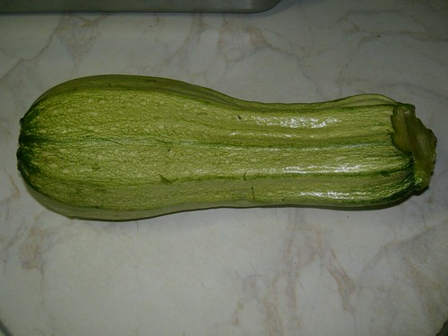 an oversized zucchini courgette