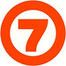 7 Logo 5