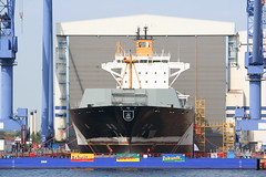 Hanse Sail 2009 - Kvaerner Warnow Werft - Wada...