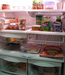 Our Refrigerator