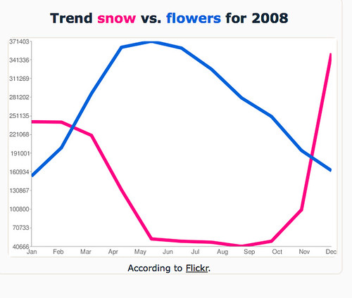 snow vs flowers