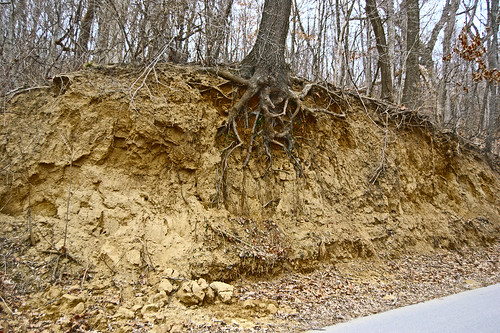 Pere Marquette State Park, in Grafton, Illinois, USA - loess soil exposed in roadcut
