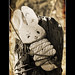 Sacrificial Bunny par kryptos86