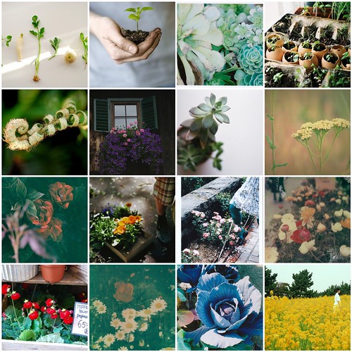 flickr friday : planted.