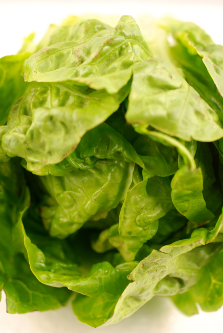 Romaine lettuce salad recipes