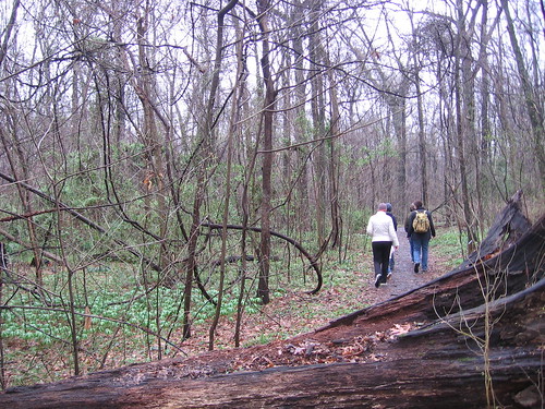 Old Forest Nature Hike