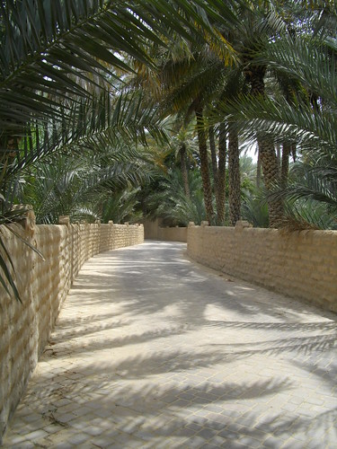 date palm tree in desert. surrounded by a few palm trees