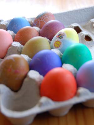 eggs of color