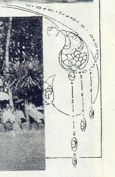 Ilustração Portugueza, No. 555, October 9 1916 - 19a