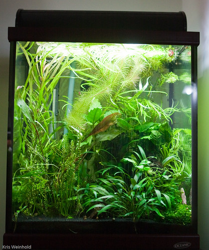 Dave's 30G