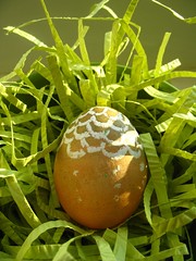 Cord's Egg