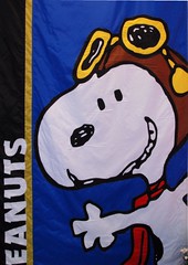 Peanuts Hi Snoopy - photo Goria - click
