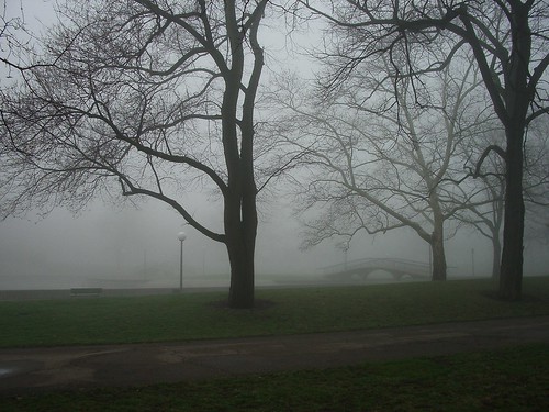 Foggy Morning West Park