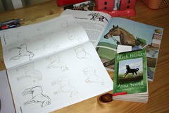 sketching horse Black Beauty