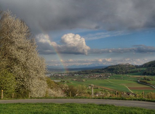 Regensberg mit Alpen und Regenbogen