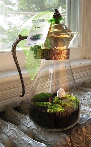 english cottage vintage coffee server moss terrarium