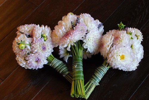 Dahlia bridesmaids' bouquets