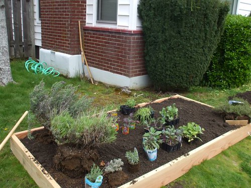 raised bed with plants