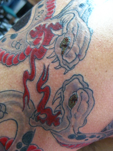 tatuagem cobras snakes tattoo