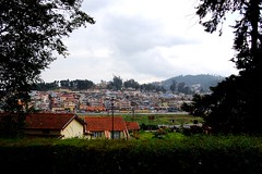 Ooty from the YWCA