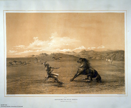 001-Captura de caballos salvajes-George Catlin 1875-1877
