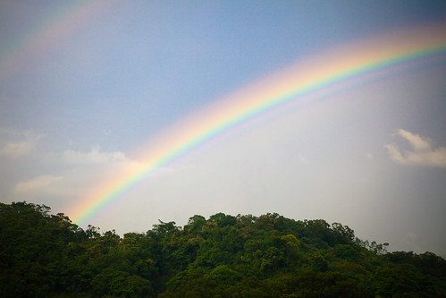 Rainbow Day