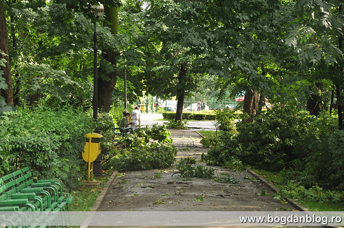 Furtuna in Botosani (bogdanblog.ro)
