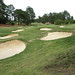 Pinehurst No. Four 4 Golf Course