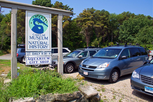 Cape Cod Museum of Natural History