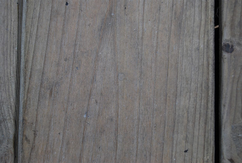 Wood Texture 07