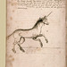 Unicorn--Carpentras-BM-ms 0340 EN