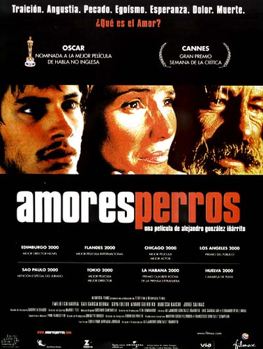 amores perros poster. amores perros dog