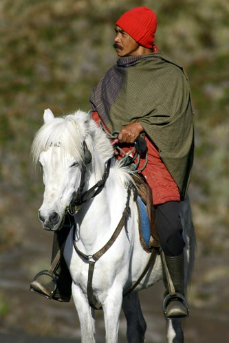 horseman with the red cap