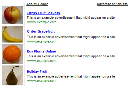 Google Adsense: Can I place small images next to my Google ads?
