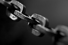 links in a chain