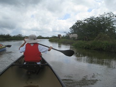 Caño Negro Canoe Trip (by S0Cal)