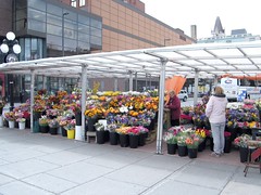 94:365 Flower vendors in the Market
