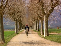 Cycling rural path