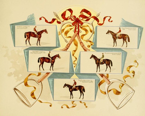 albumofcelebrate00kinn_0017Album of celebrated American and English running horses