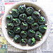 batch 2 seedlings_march 09