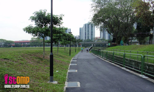 Please save the dying trees at Jurong Park Connector