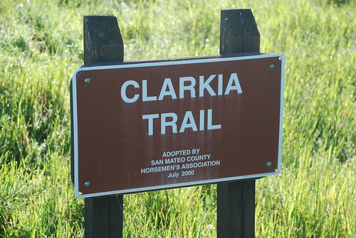 Clarkia Trail