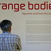Strange Bodies: Figurative Works from the Hirshhorn Collection