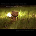 Danbo's Day out! HK by eisha_romeo_4 (Busy)