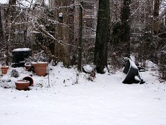 our snowy back yard