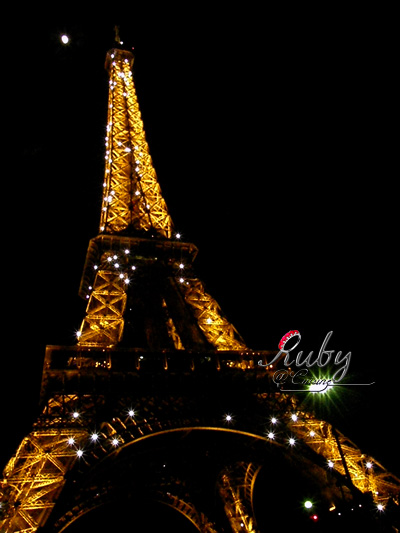 Eiffel tower_07_night view